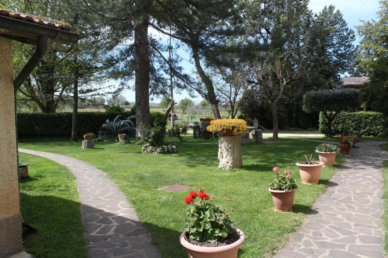Agriturismo Il Capannone Montemerano Exterior foto